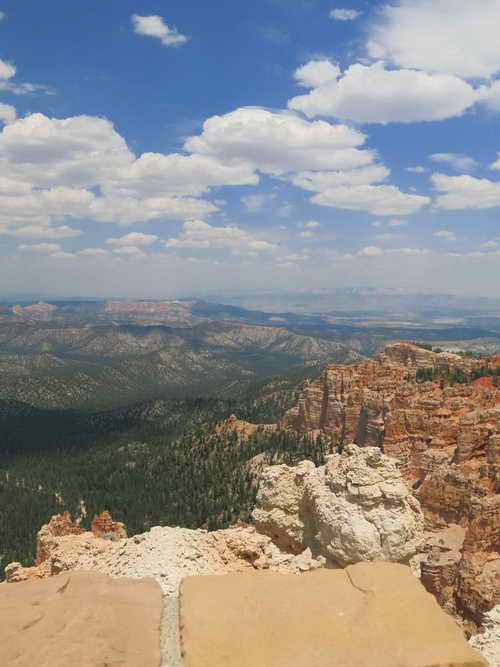 USA_2013-07-10 12-45-49_IMG_1481